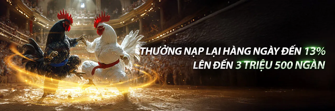 Đá gà trực tuyến i9bet42