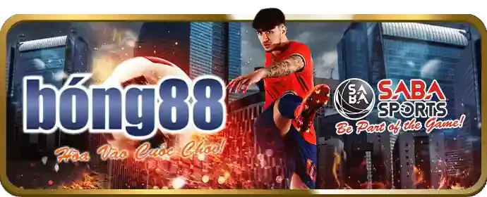 Chiến lược cá cược đá gà